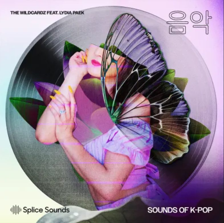 Splice Sounds Wildcardz Feat. Lydia Paek Sounds of K-Pop