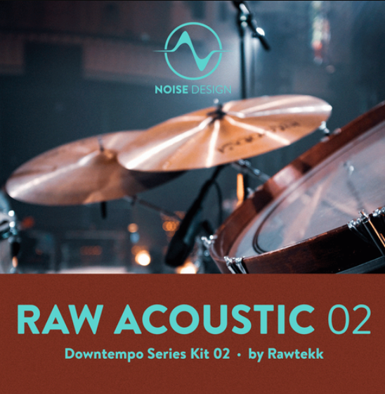 Steinberg Noise Design Raw Acoustic Downtempo 2