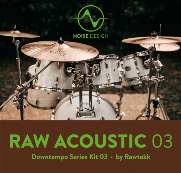 Steinberg Noise Design Raw Acoustic Downtempo 3