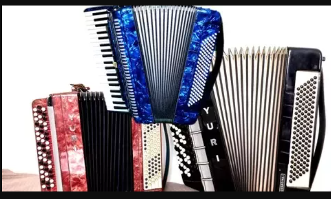 Udemy Accordion for complete beginners. BOOK 1 TUTORiAL