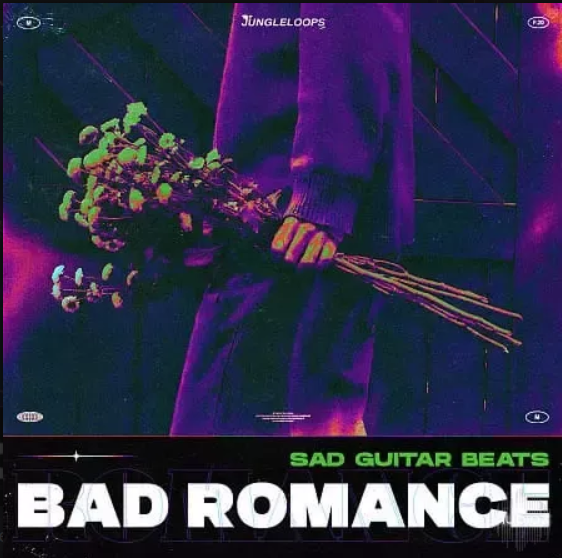 Jungle Loops Bad Romance - Sad Guitar Beats