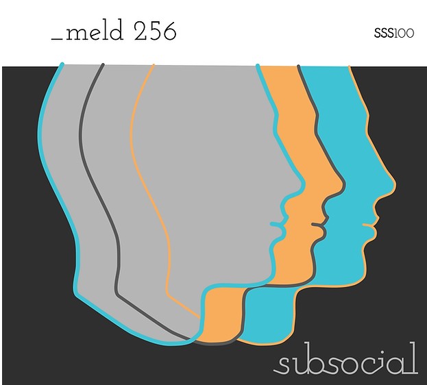 Subsocial Studios SSS100 _meld 256 (Ableton Meld presets)