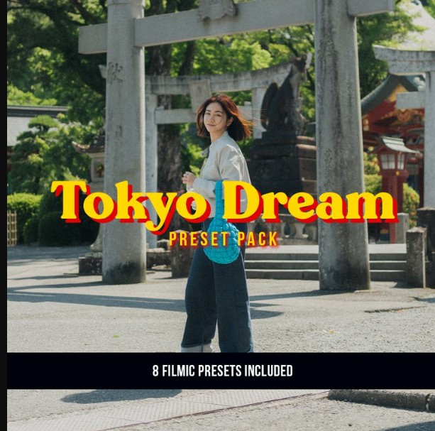 VG Studios Tokyo Dream Preset Pack