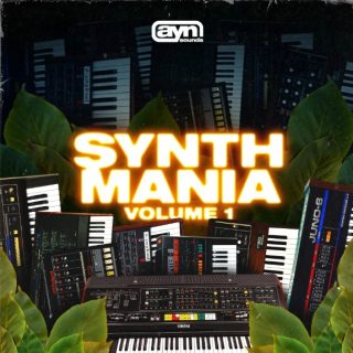 AYN Sounds Synth Mania Vol.1