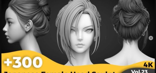Artstation – +300 Japanese Female Head Sculpt Reference Images(4k)