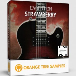 Orange Tree Samples Evolution Strawberry