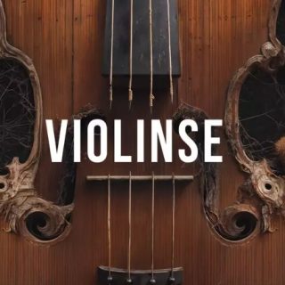 Steinberg Violinse for Padshop 2