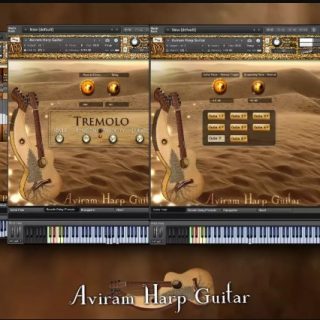 Aviram Dayan Production Aviram Harp Guitar