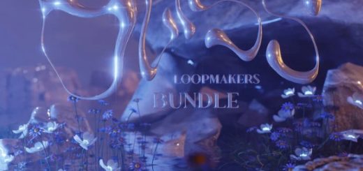 The Loop Cart The "Bliss" Loopmakers Bundle WAV PORTAL and RC-20 BANK