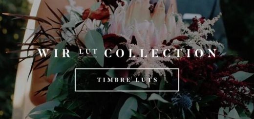 White In Revery – Timbre
