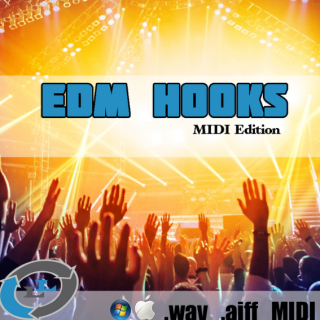 Loopslab EDM Hooks