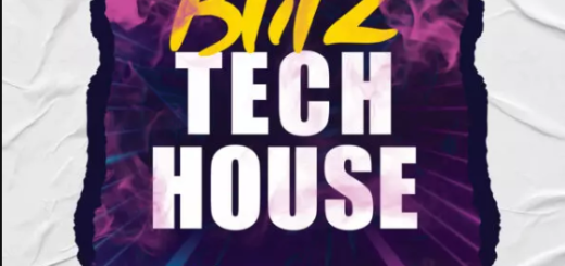 Innovation Sounds Blitz Ableton 11 Tech House Template