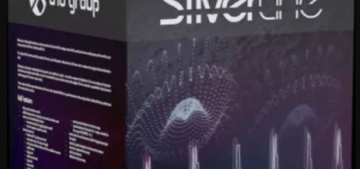 D16 Group SilverLine Collection 2025.9