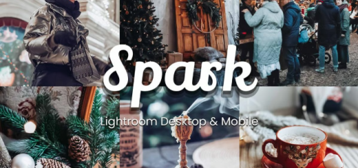 3dMotional – 30 Spark Lightroom Bundle