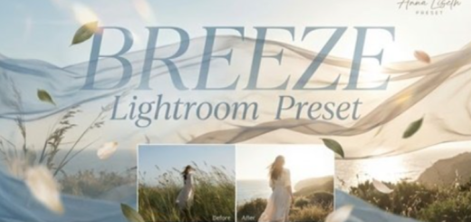 Anna Liseth Preset – Breeze Lightroom Preset