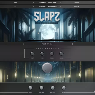 Diamond Loopz Slapz 2