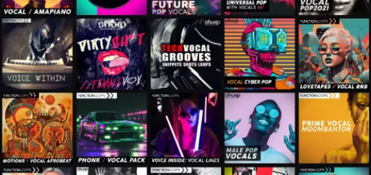 Function Loops 14 Anniversary Supreme Vocal Collection