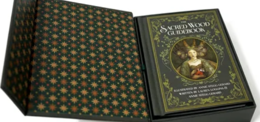 Justin Gerard Brushes Collection (Photoshop, Procreate)