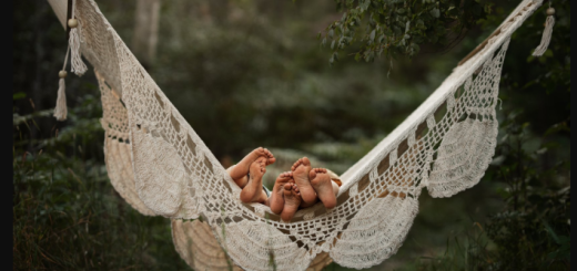 Meridian Presets – Meg Loeks – Solstice