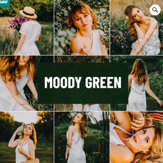 Psd Stack – Moody Green Lightroom Preset