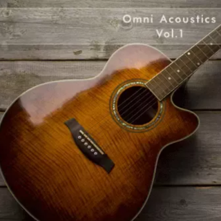 Soundsdivine ‘Omni Acoustics Vol.1’ – OMNISPHERE 3 PRESETS