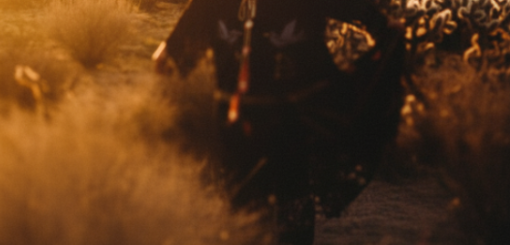 Twyla Jones – Volume 2 Lightroom Presets