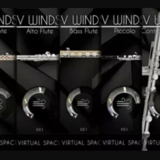 Acousticsamples VWinds Clarinets v2.0 for UVI Workstation