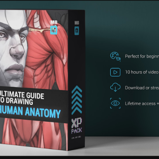 Cubebrush – Marc Brunet – ULTIMATE Anatomy