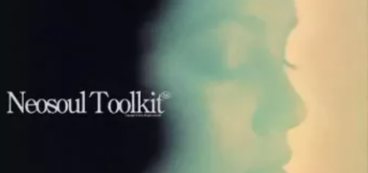 Dionso and Xandros Neo-Soul Toolkit Vol.1
