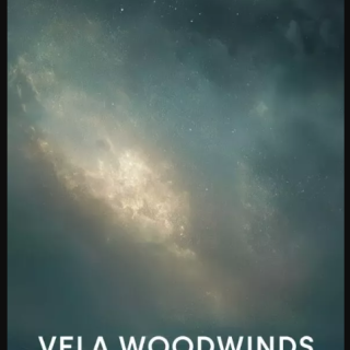 Emergence Audio Vela Woodwinds v1.1.0 KONTAKT