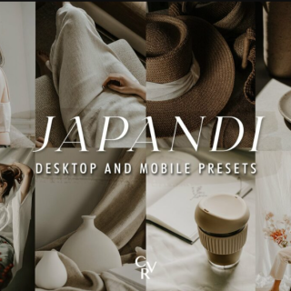 FilterGrade – 25 JAPANDI Lightroom Presets