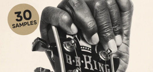 Soul Chemist Blues Guitar Bundle Vol.1