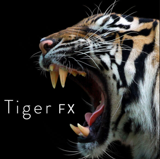 Sound Ideas Tiger FX