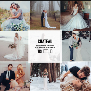 The Luxe Lens – Chateau – Single Color Palette Lightroom Presets & AI Tools