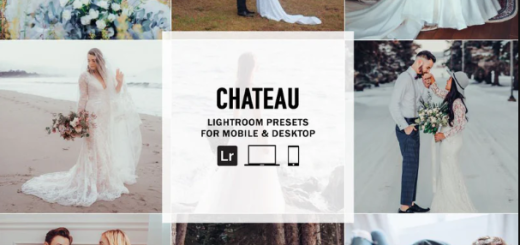 The Luxe Lens – Chateau – Single Color Palette Lightroom Presets & AI Tools