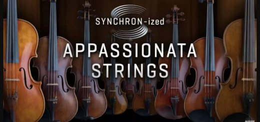 VSL Vienna Symphonic Library Studio Appassionata Strings for Synchron Player