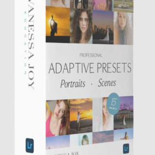 Vanessa Joy – Joy Adaptive Presets