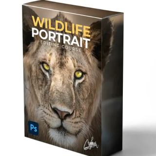 Zenzcourses – Wildlife Portrait Editing